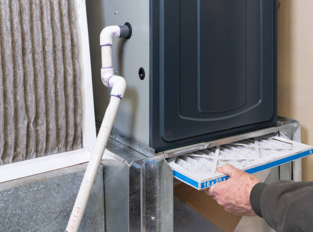 Best Home Air Vent Cleaning  in Felida, WA